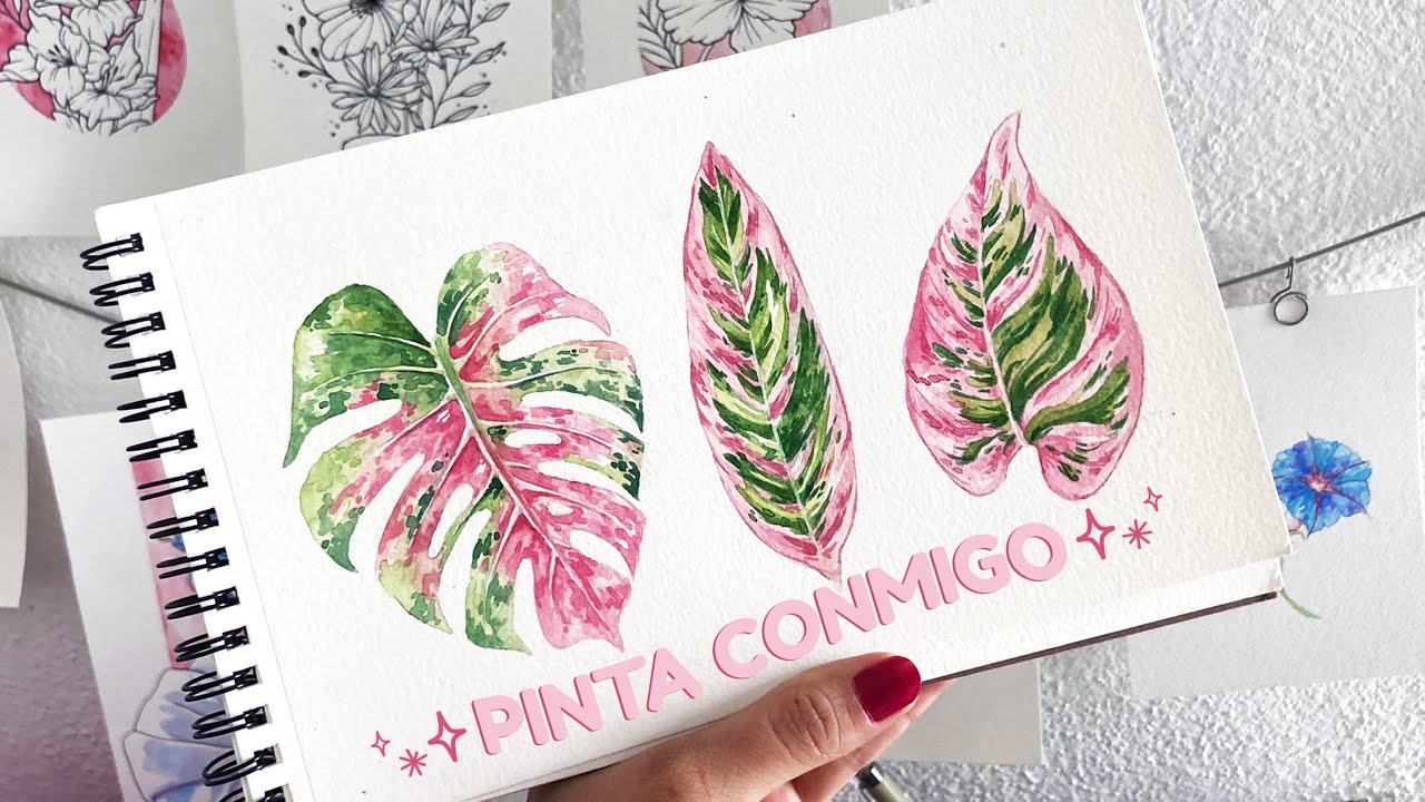 Pintando hojas de Stromanthe Triostar y Filodendro con acuarelas 🍃🌿