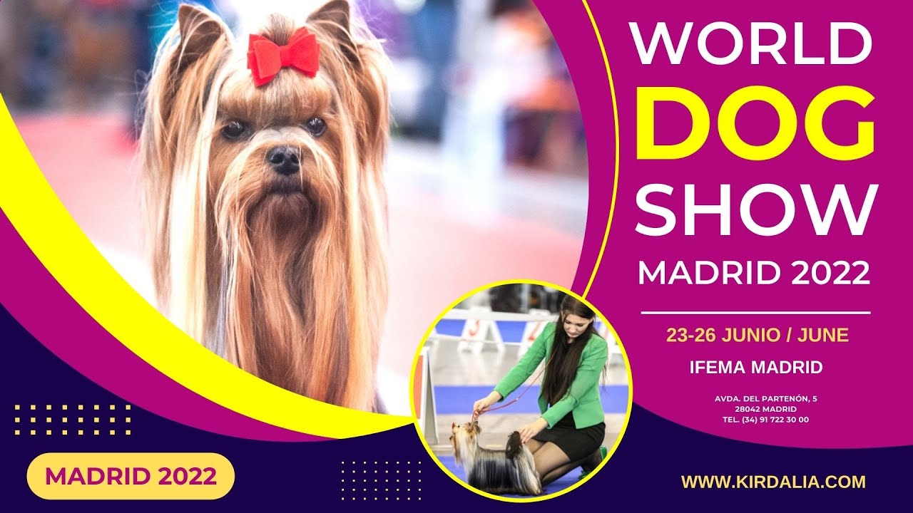 WORLD DOG SHOW - MADRID 2022