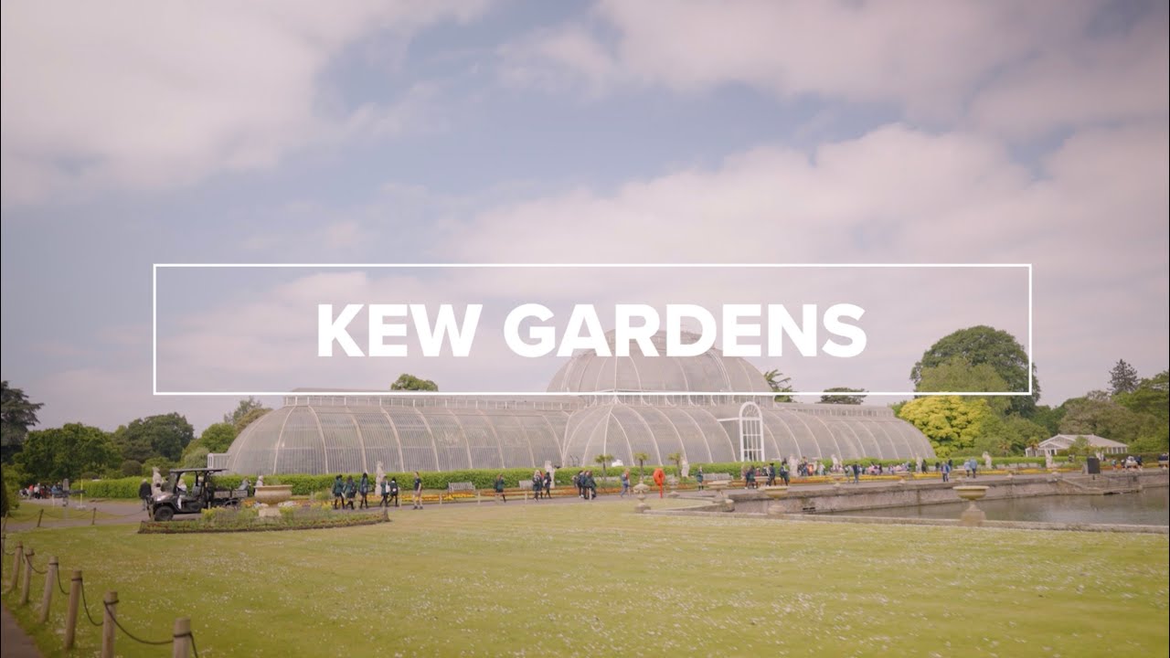 What to see at Kew Gardens I Visit London
