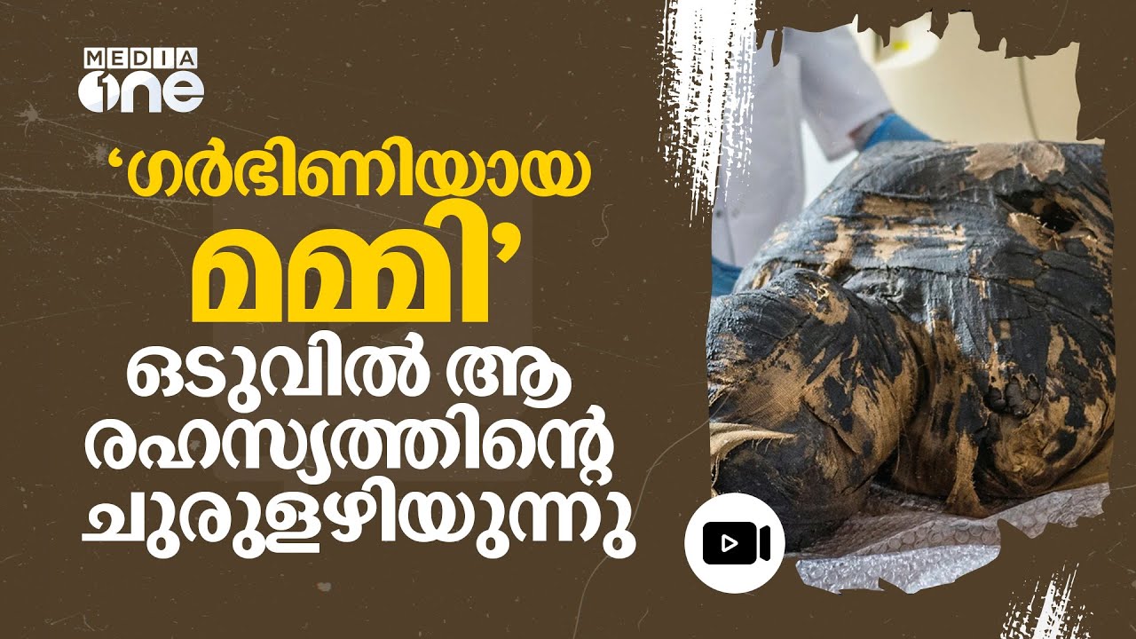 കാൻസർ ബാധിതയായ ഗർഭിണിയുടെ മമ്മിയോ? സത്യാവസ്ഥ ഇത്! Mystery of Pregnant Egyptian Mummy Solved #nmp