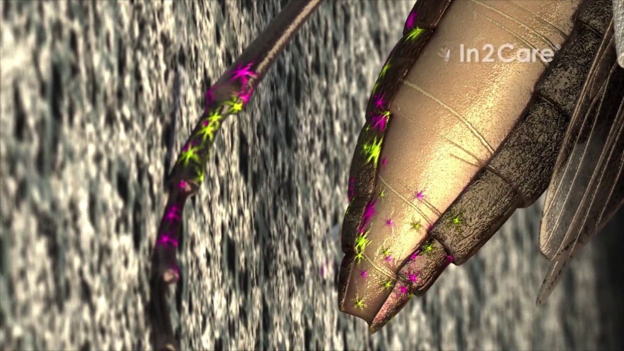 Video In2Care Mosquito Station US [old video version]