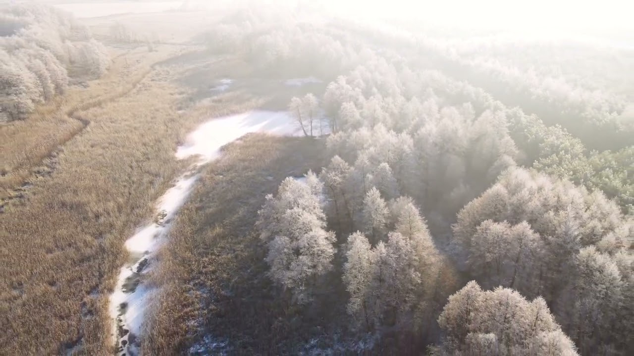 Dolina Zgłowiączki- Pierwszy snieg