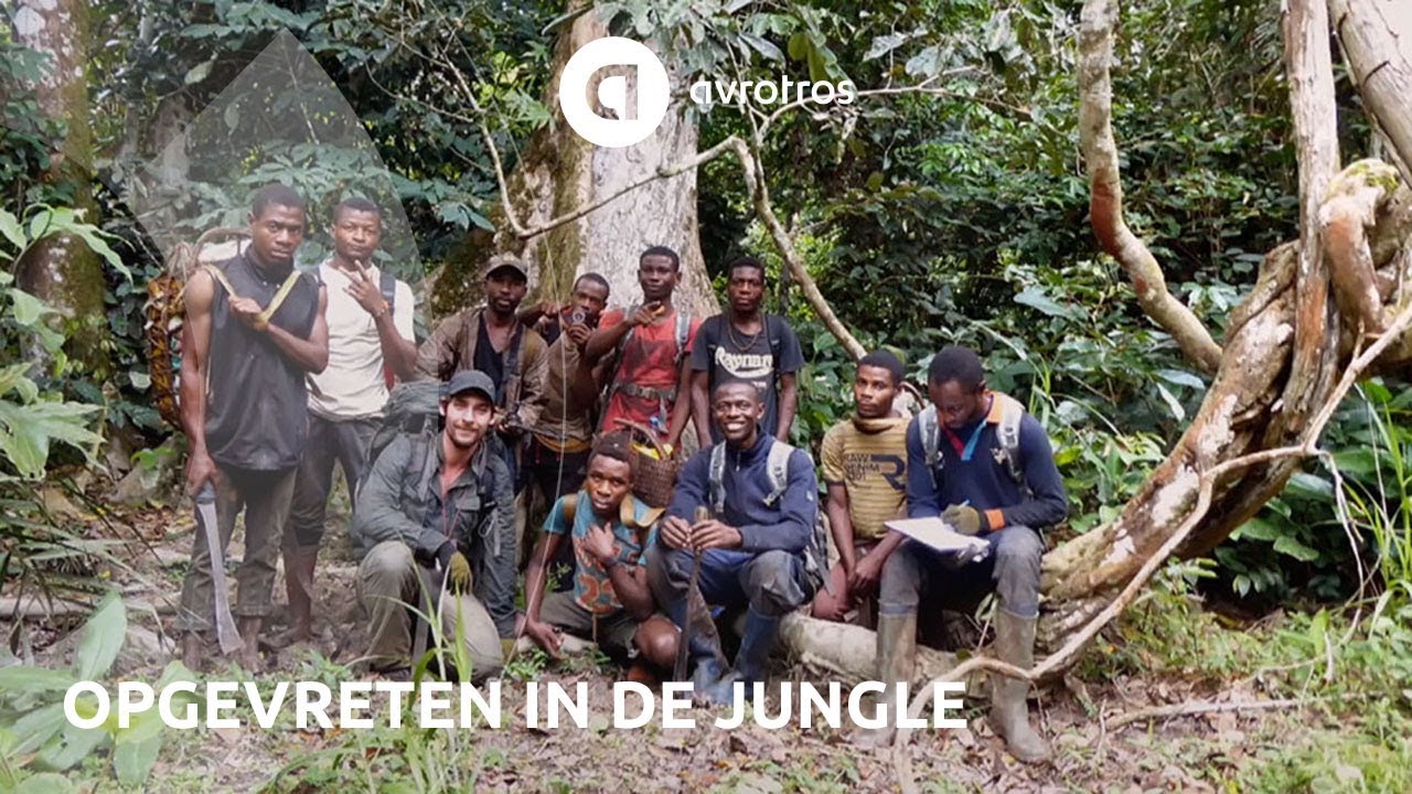 Opgevreten worden in de jungle | Helden van de Wildernis