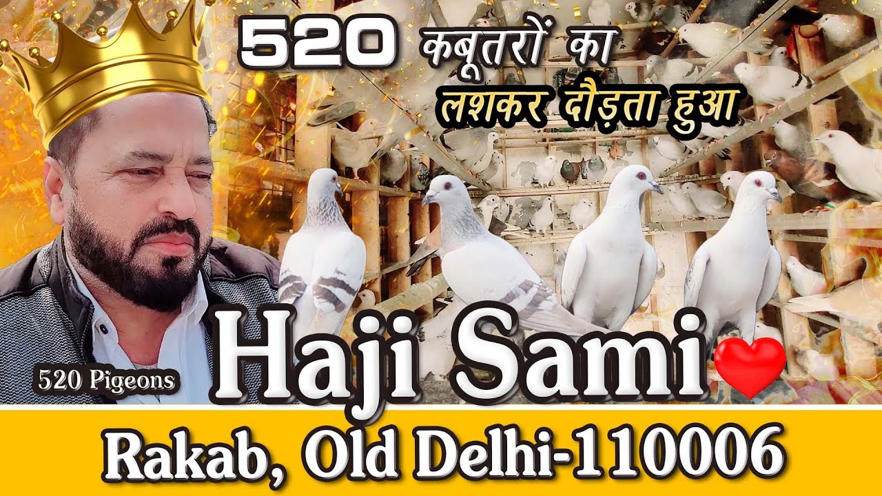 Haji Sami K 520 Hyderabadi Kabutar ek sath Daudtay Huway