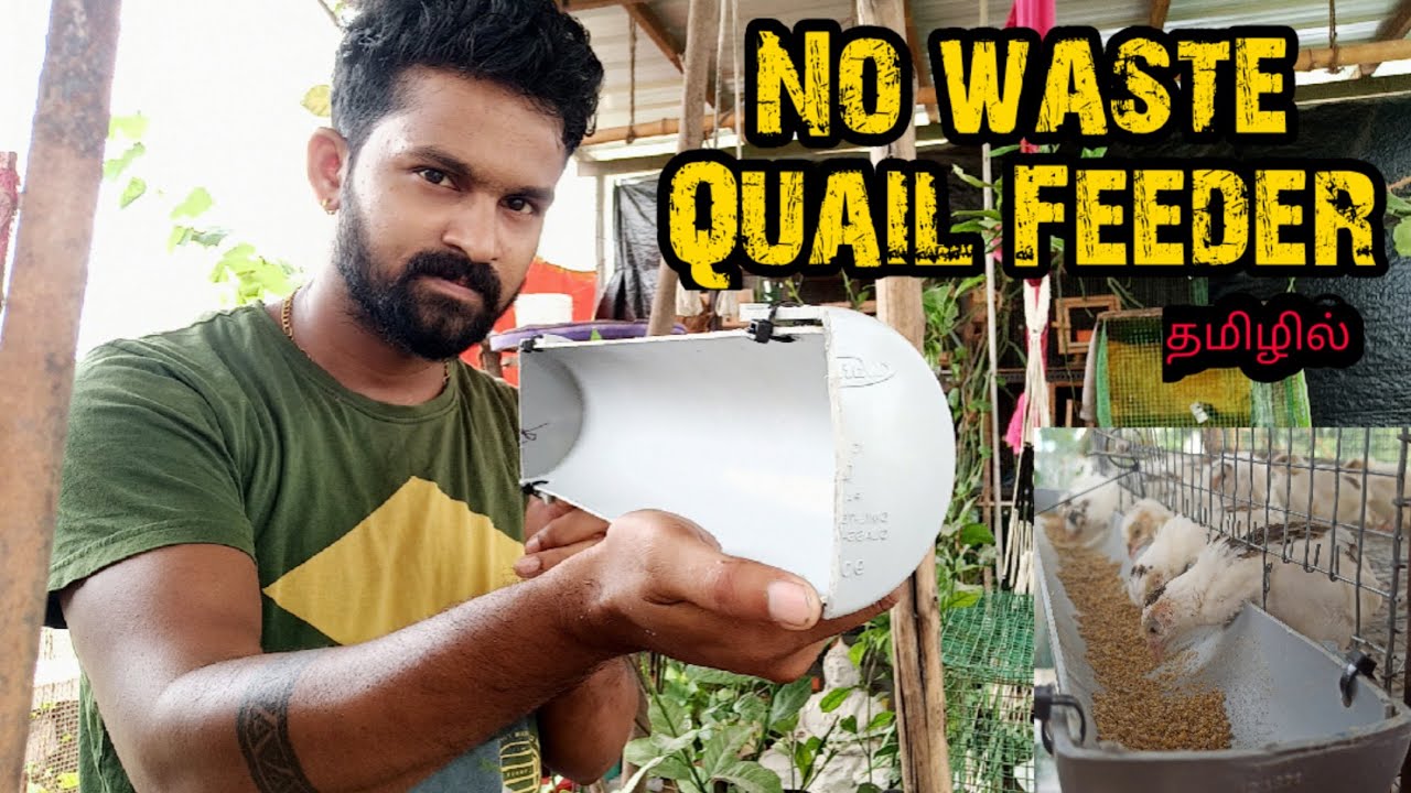 No Waste Quail Feeder Making In Tamil | Karthick's Aviary | Quail Feeder using pvc pipe