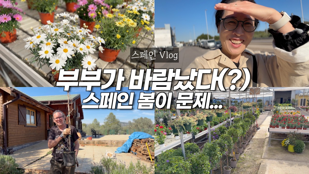 봄바람 맞더니 부부가 단체로 바람났습니다! [스페인 봄이 위험한 이유 - 쇼핑, 우리 농장]