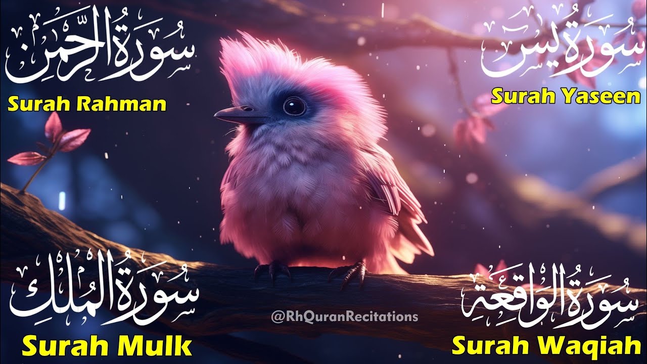 Beautiful Surah Yaseen (Yasin) | Surah Rahman | Surah Waqiah | Surah Mulk | Episode 83