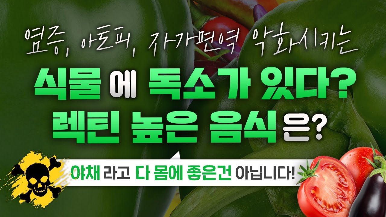 식물 독소, 렉틴 함량이 높은 음식은?