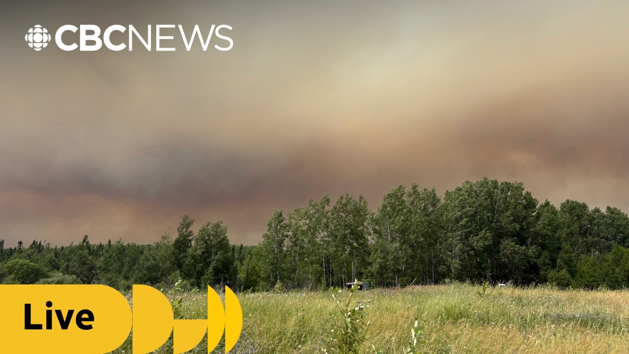 Ontarians react to province's response to ongoing wildfires