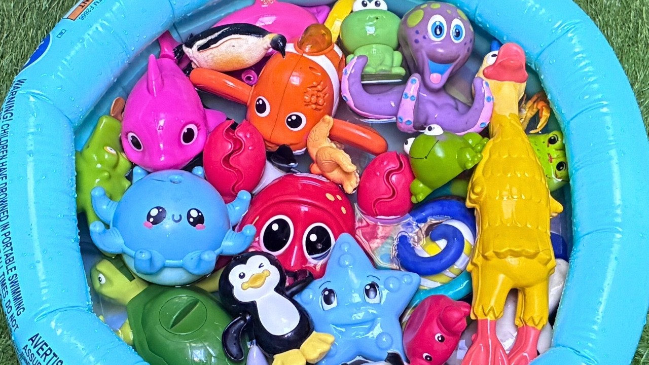 Sea Animals for Toddlers: Names & Facts with Toys | Fun Ocean Creatures for Preschoolers