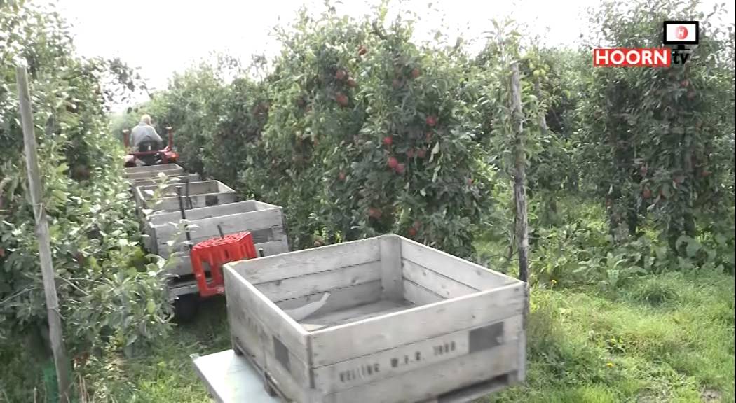 Bijbaantje - Fruitteler (tryout)