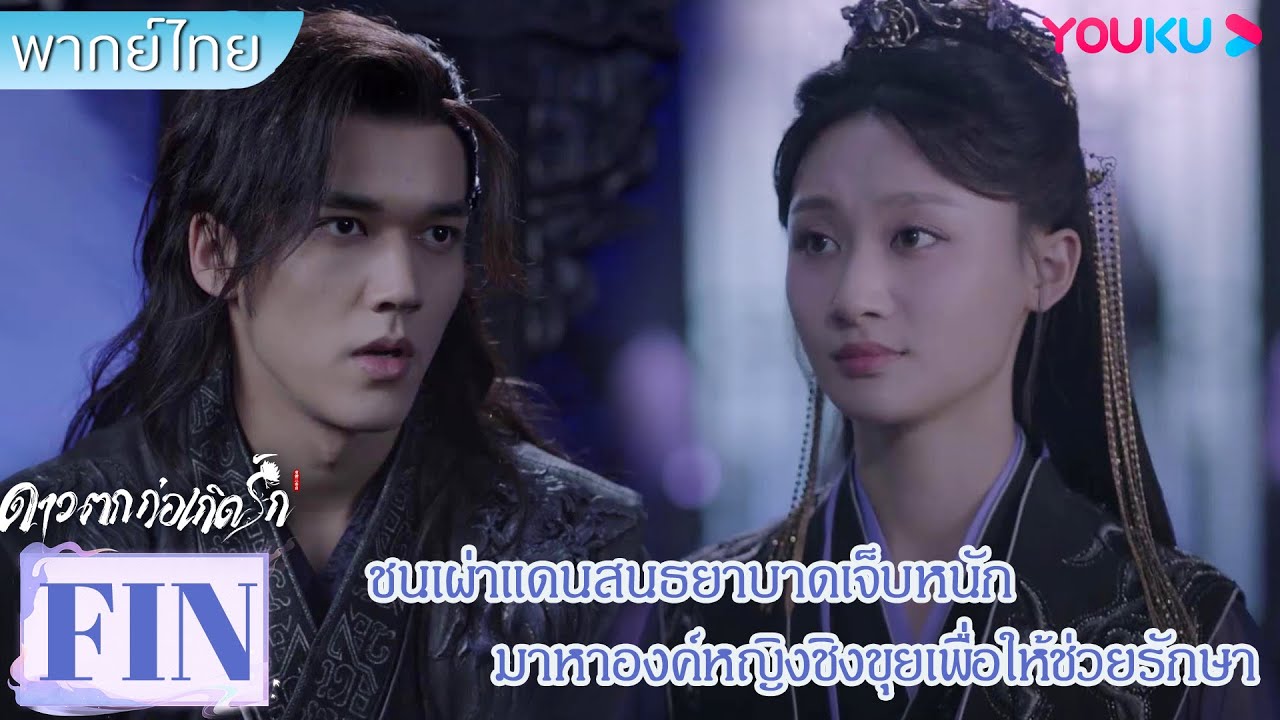 FIN | ชนเผ่าแดนสนธยาบาดเจ็บหนัก มาหาองค์หญิงชิงขุยเพื่อให้ช่วยรักษา | ดาวตกก่อเกิดรัก | YOUKU