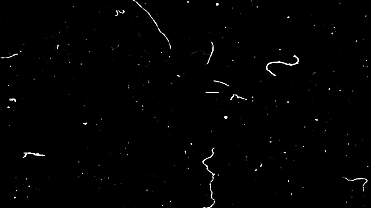 10 MINUTES Dust Grain Overlay Effect Black Screen | Free VFX | Film Grain | Noise Texture