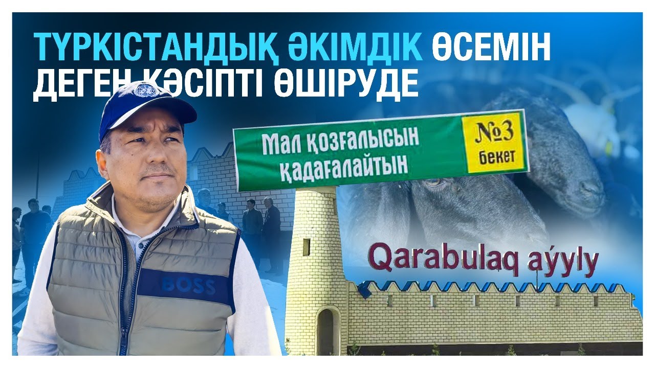 Түркістандық әкімдік өсемін деген кәсіпті өшіруде