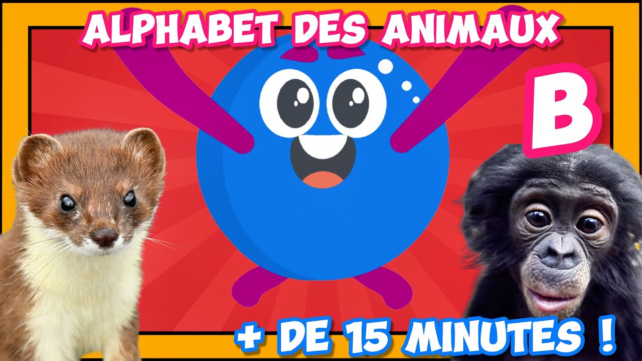 🔠Alphabet des Animaux 🐵⭐Le B : Découvrez la Baleine 🐋, le Bison 🦬 et bien d'autres