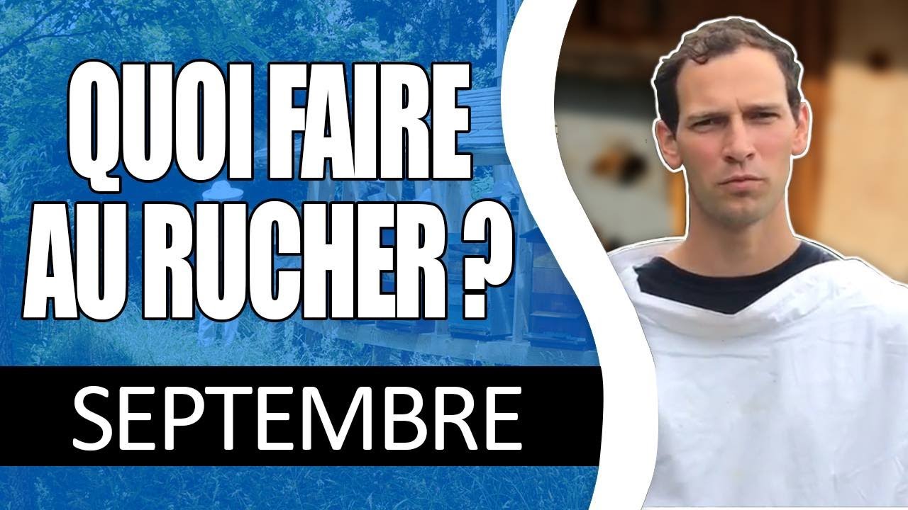 Quoi faire au rucher en septembre ???