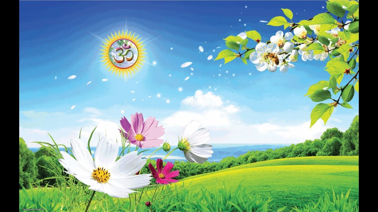 भजन : पितु मातु सहायक सखा तुम ही इक ही नाथ हमारे हैं II आर्य समाज वैदिक भजन II