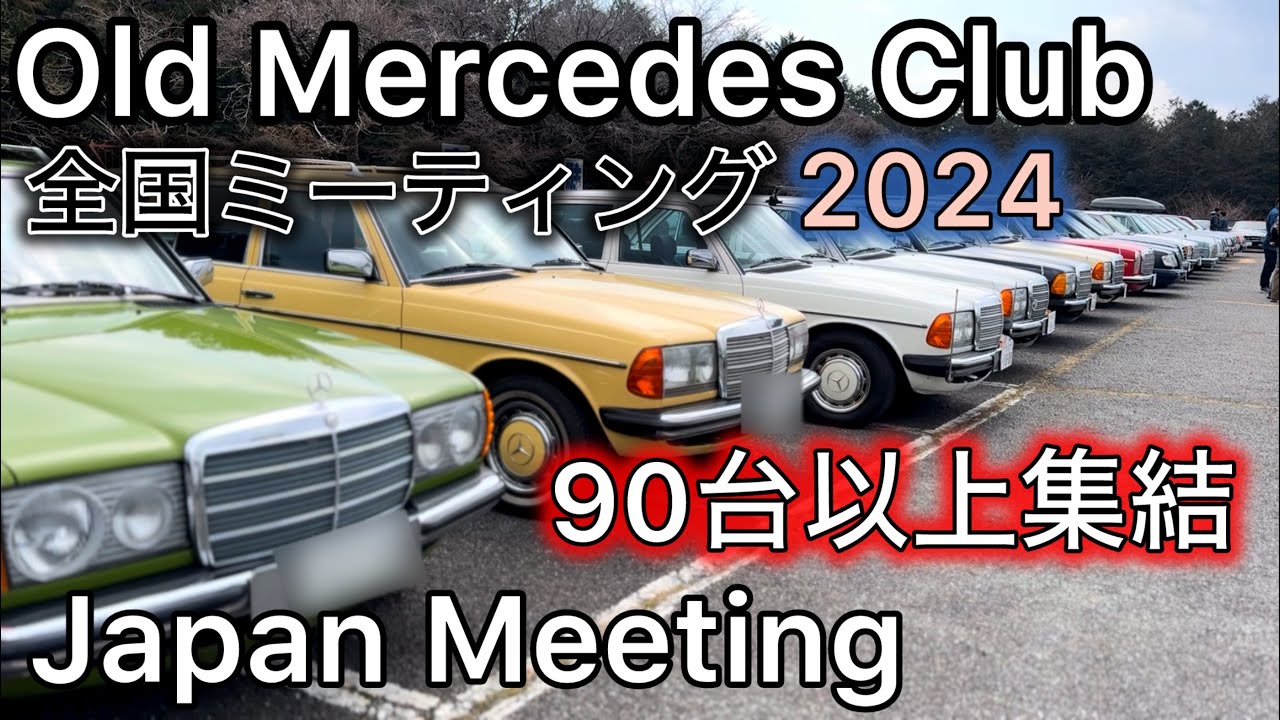 【Old Mercedes Club Japan Meeting】全国ミーティング2024年〜in朝霧 90台以上集結！