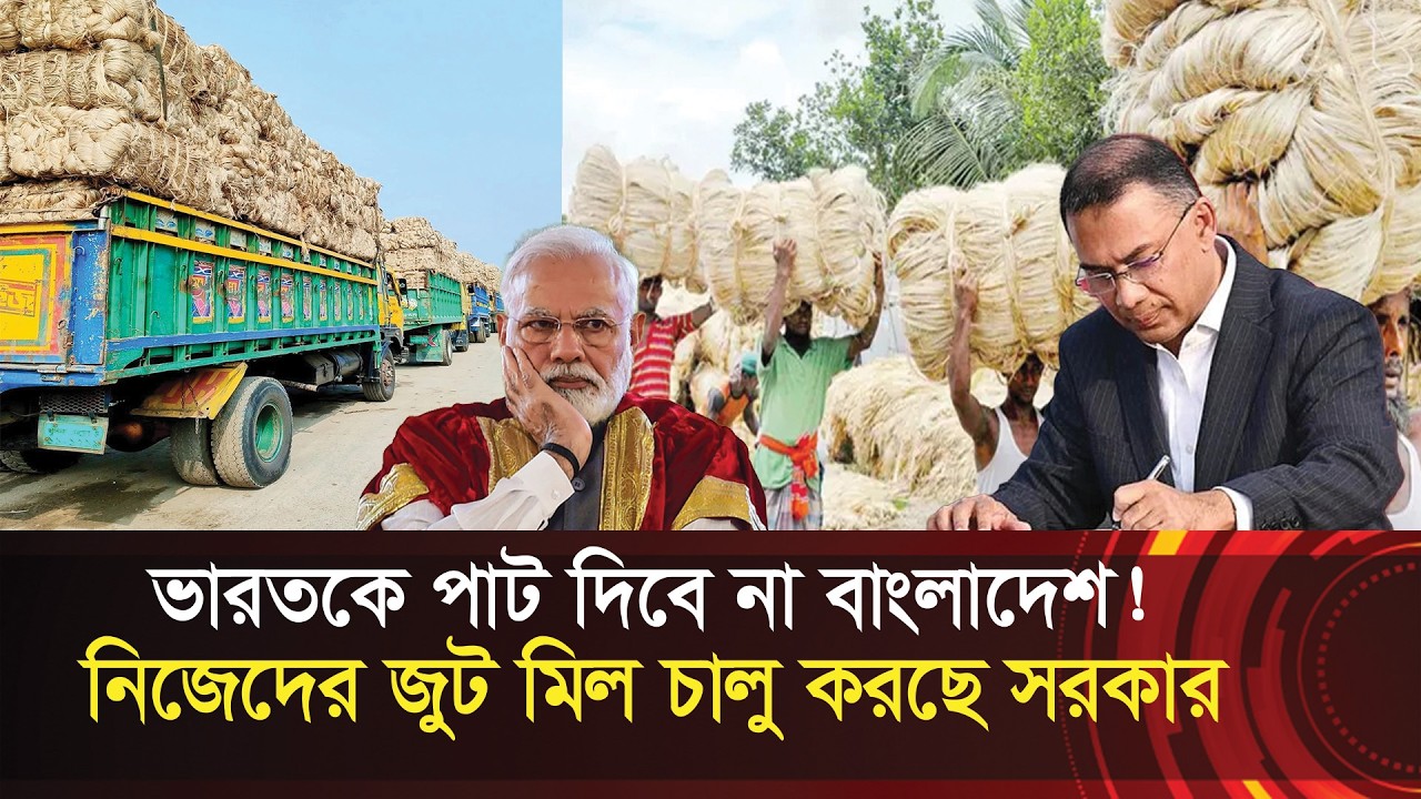 ভারতকে পাট দিবে না বাংলাদেশ !! এবার নিজেদের জুট মিল চালু করছে সরকার !! Jute - Bangladesh
