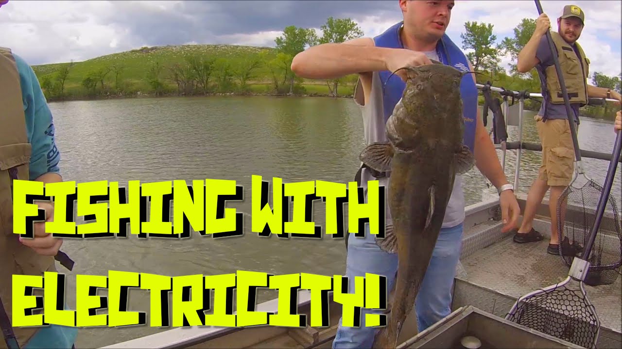 Fishing With Electricity! | Warning! Big Flathead!