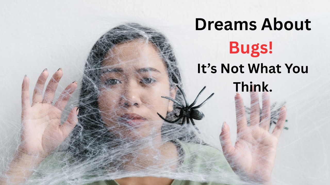 Dreams About Bugs! It's Not What You Think.