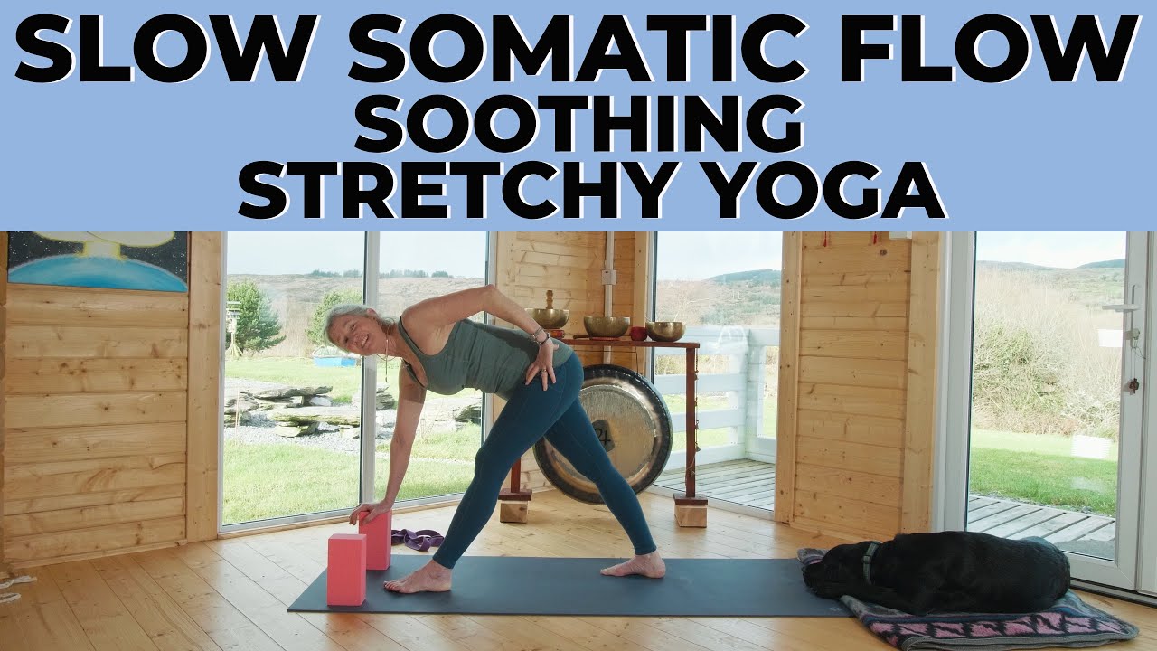 Slow Somatic Flow Soothing Stretchy Yoga