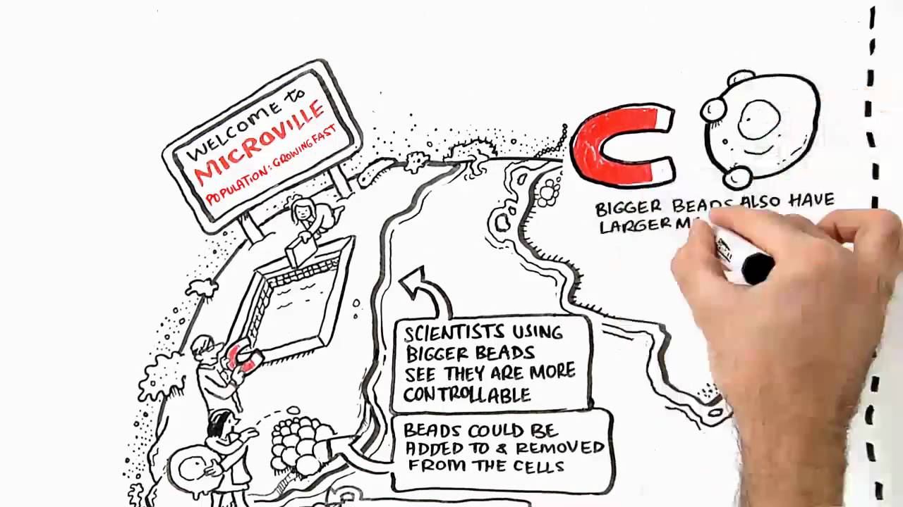 Cell Isolation - The Two Worlds of Cell Separation