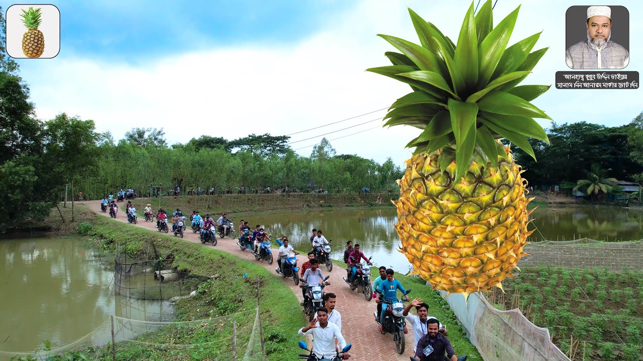 আনারস মার্কায় নির্বাচনী প্রচারণার গান