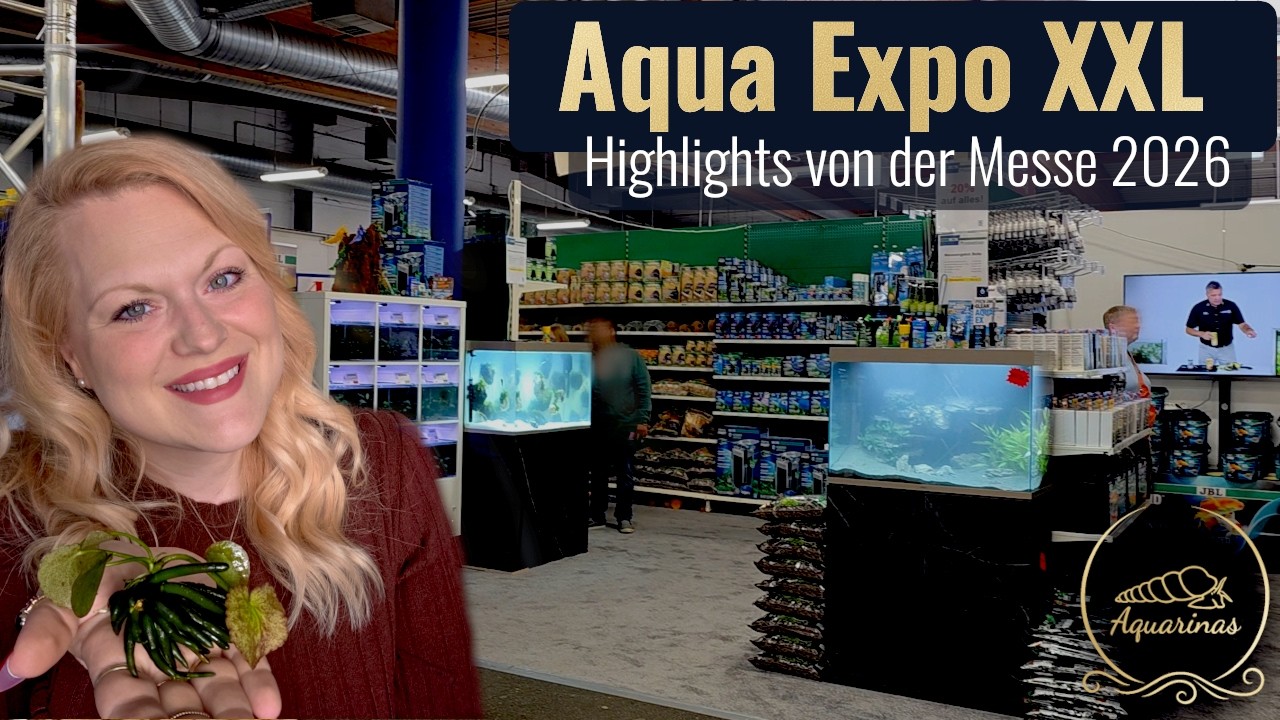 Aqua Expo XXL 2026 - DAS hat mich echt &uuml;berrascht...
