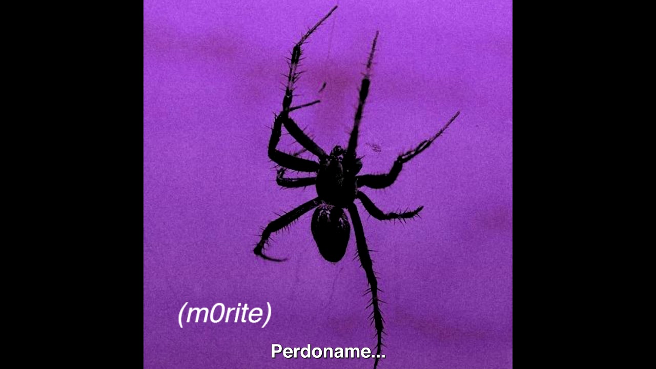 Sadseba - m0rite