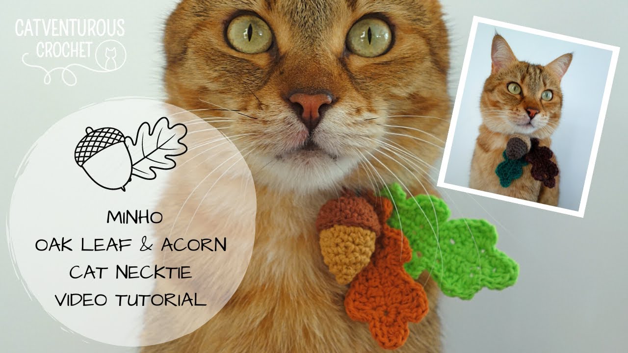 Minho Oak Leaf & Acorn Cat Necktie - Catventurous Crochet