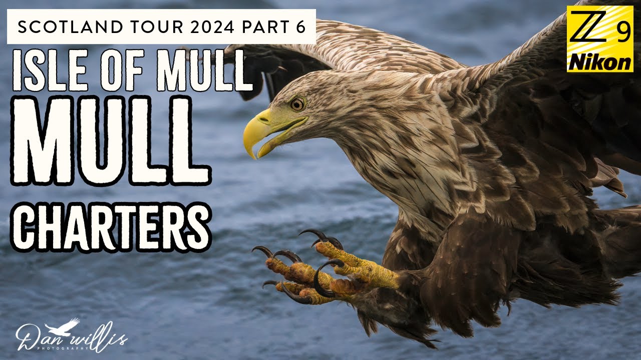 Mull Charters Photography Tour