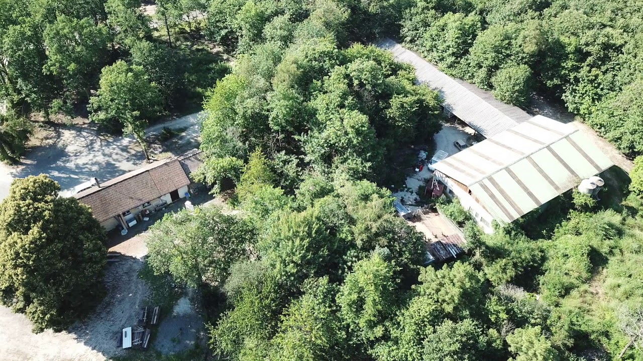 Parc de chasse à vendre de 277 ha, département de Charente, proche d'Angoulême