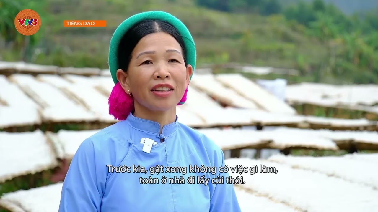 [TIẾNG DAO] OCOP-THÚC ĐẨY SẢN XUẤT NÔNG NGHIỆP HÀNG HÓA MIỀN NÚI | VTV5