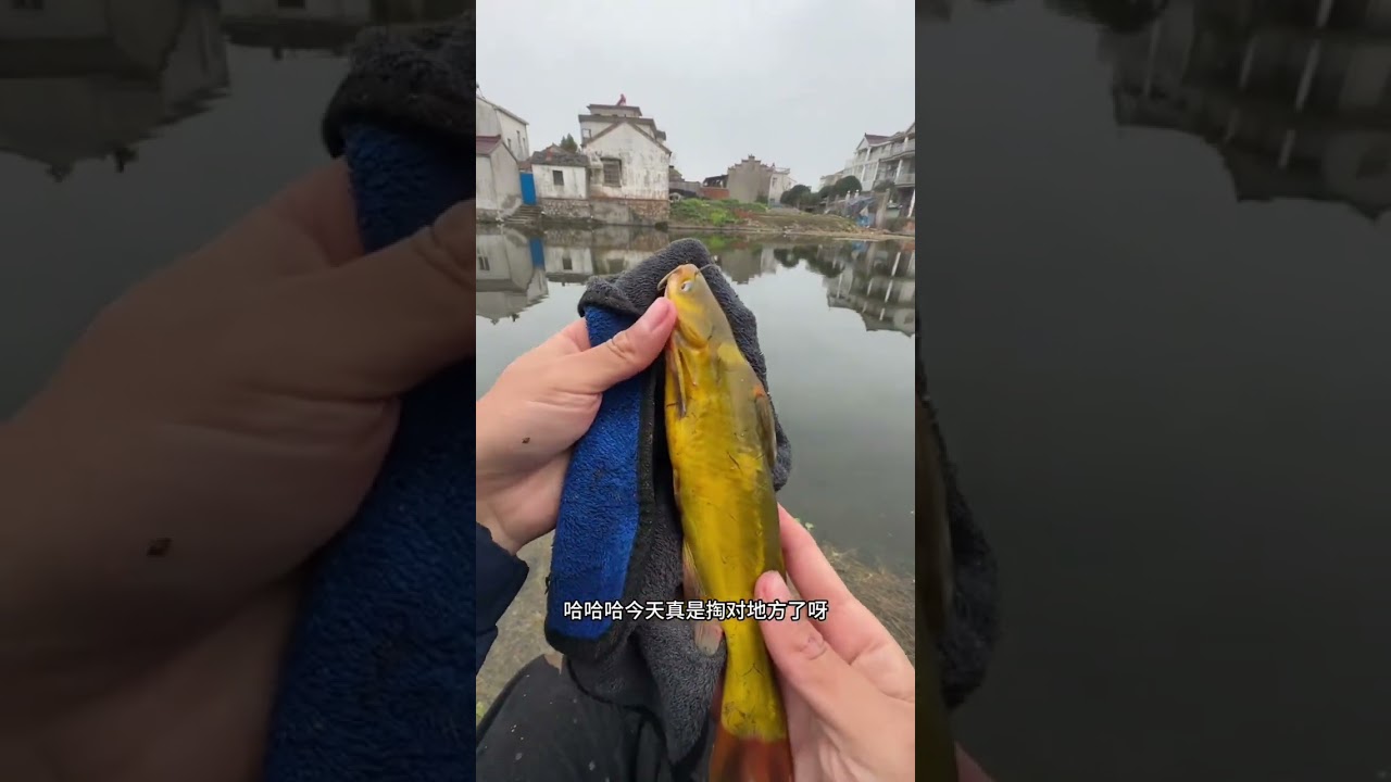 Vlog 1 buổi câu cá giải trí tự nhiên - 82