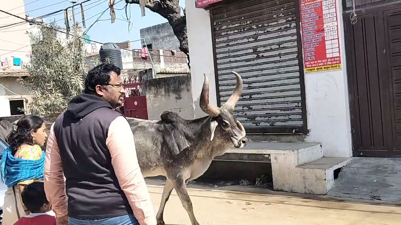 ഡൽഹി നഗരത്തിലെ ഒരപൂർവ്വ കാഴ്ച്ച..🙏🙏