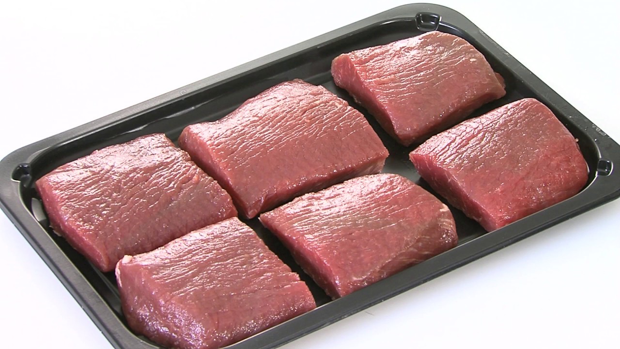 TREIF FALCON evolution  Lamm / lamb