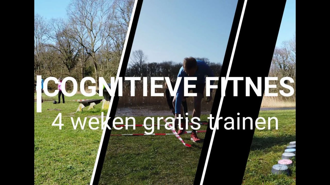 cognitieve training