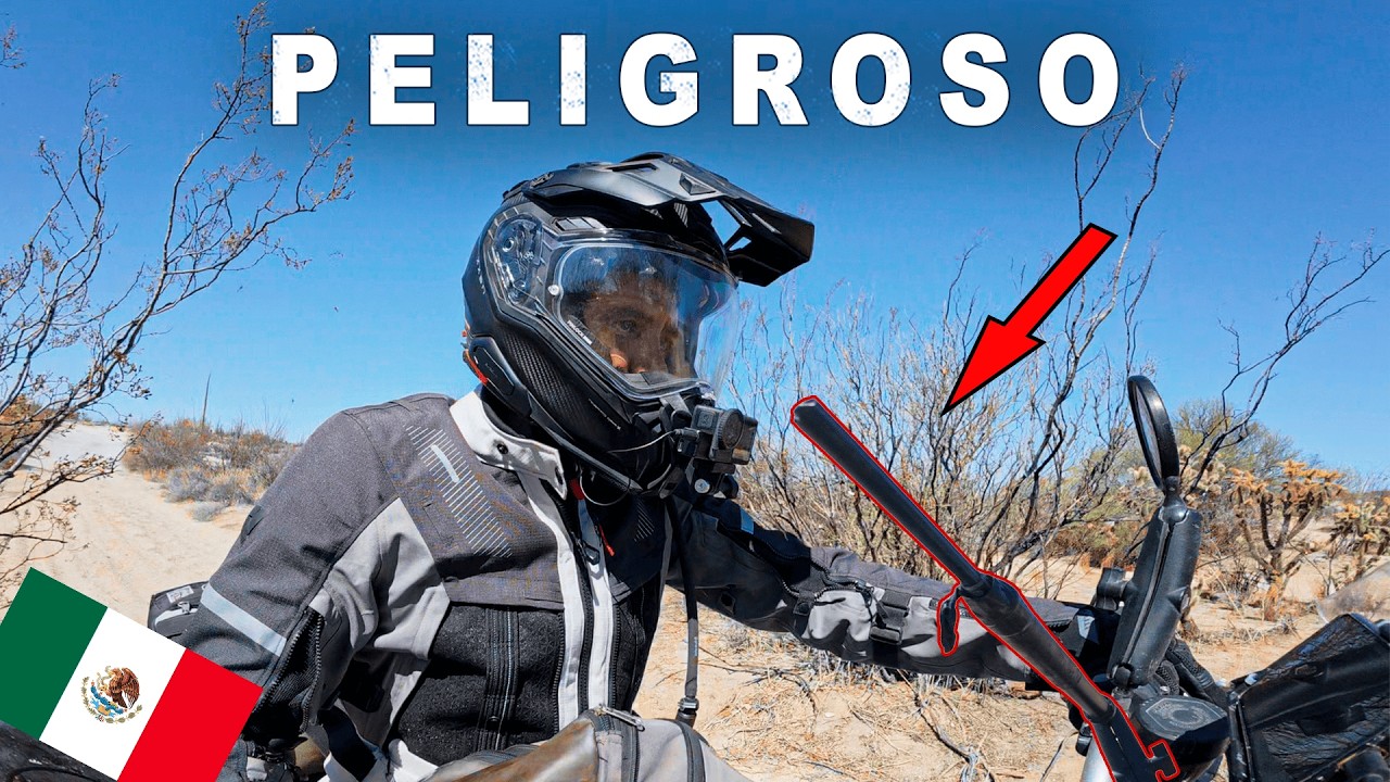 I CRASHED into a BUSH and I DIDN'T KNOW that HAVING this STICK on the MOTORCYCLE was SO DANGEROUS.