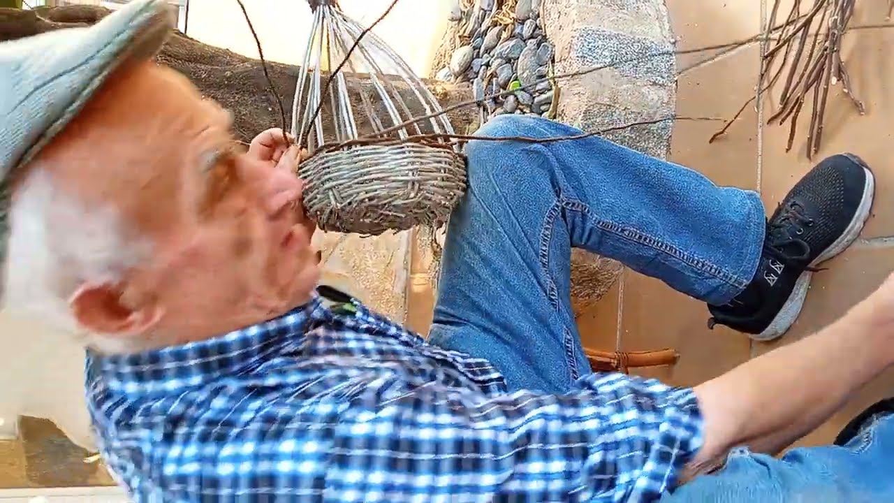 Cesta olivo video6