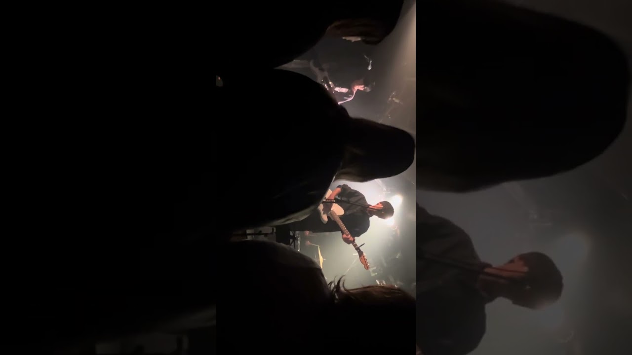ポトス/雪国　2024.11.23 下北沢BASEMENT BAR