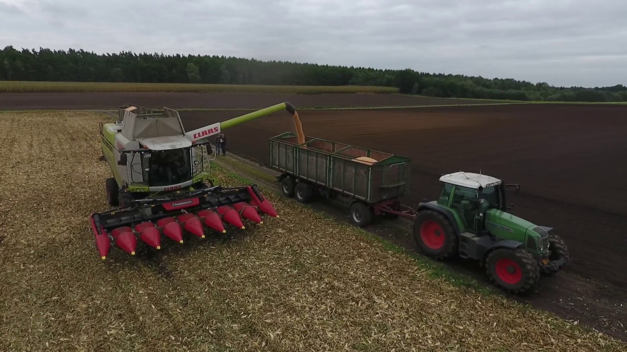 Claas Lexion 750 am Mais dreschen