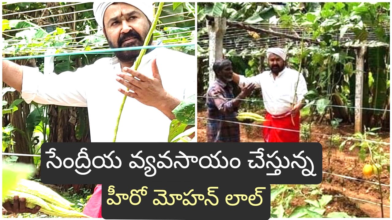 Hero Mohanlal Organic forming Pics|Mohan lal terrace and home Garden|Ismart thoughts