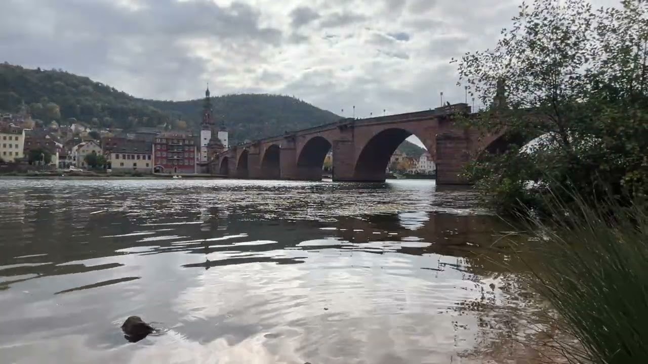 Heidelberg Castle from Afar