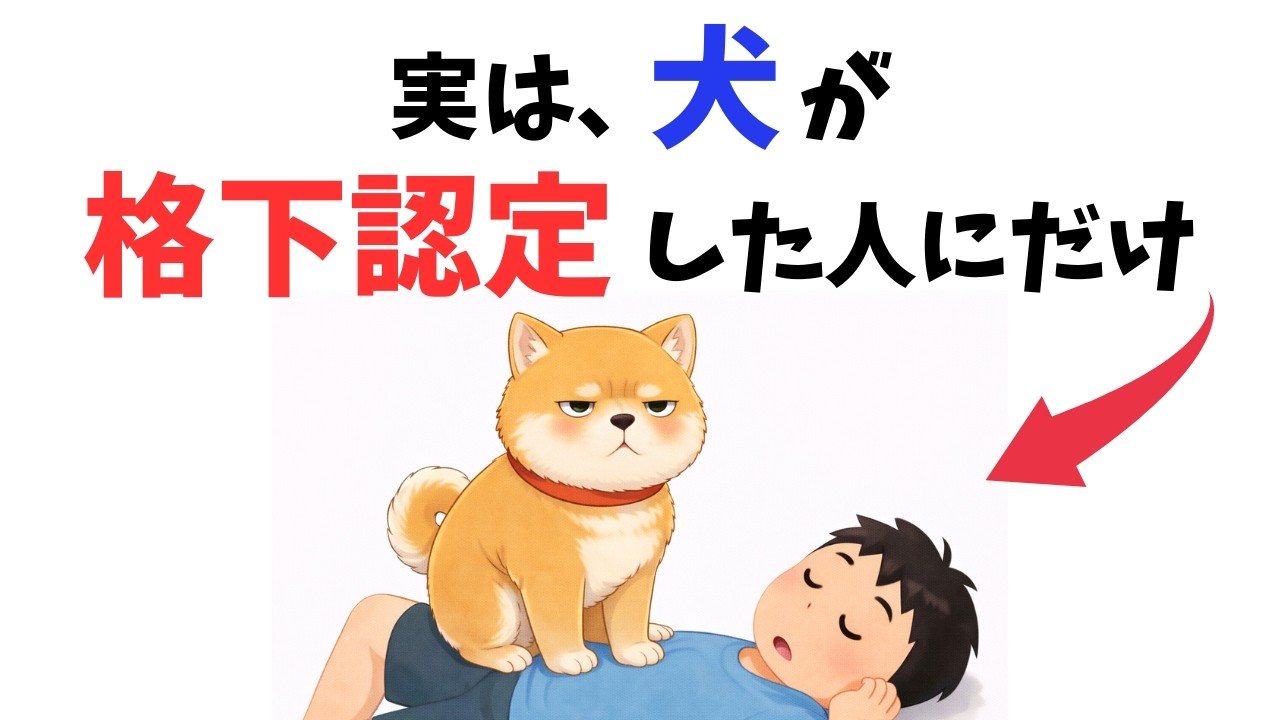 【ショック注意】犬が“下に見ている人”にだけ取る態度 13選