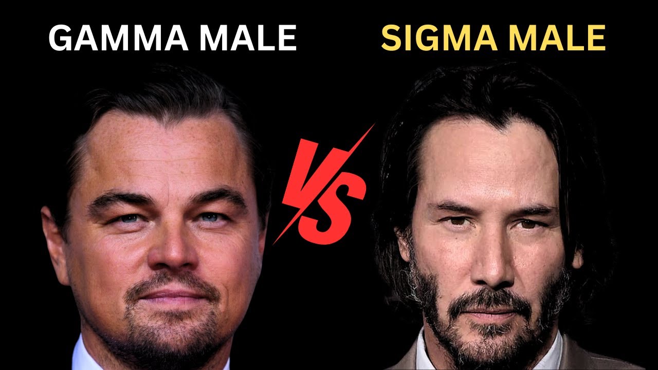 Gamma Male vs Sigma Male – The Difference