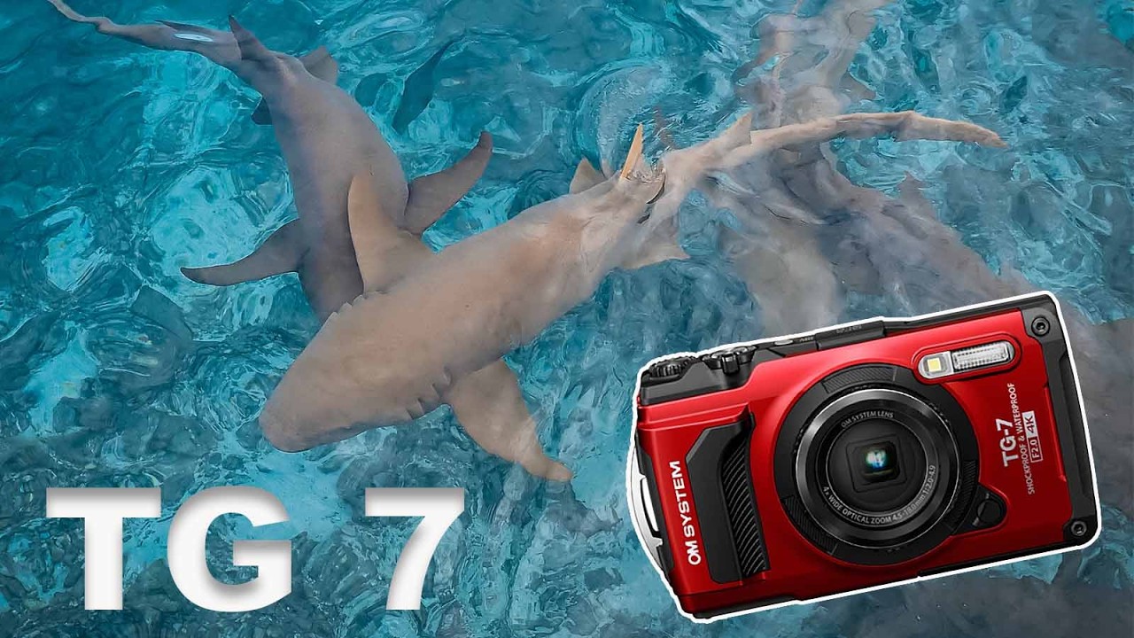 OM System TG7 Unterwasser & Insta360 X4 als Kameramann