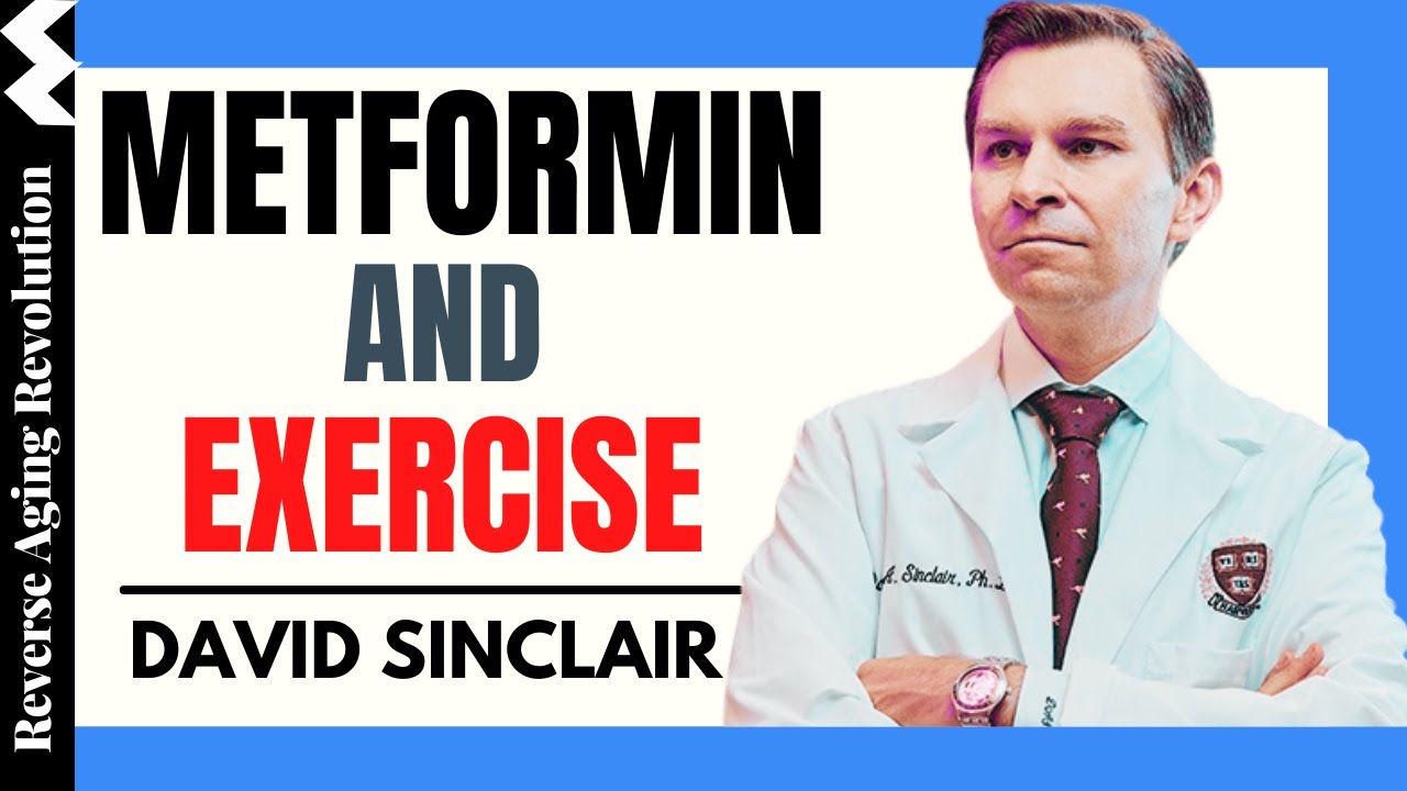 DAVID SINCLAIR &ldquo;Metformin & Exercise&rdquo; | Dr David Sinclair Interview Clips