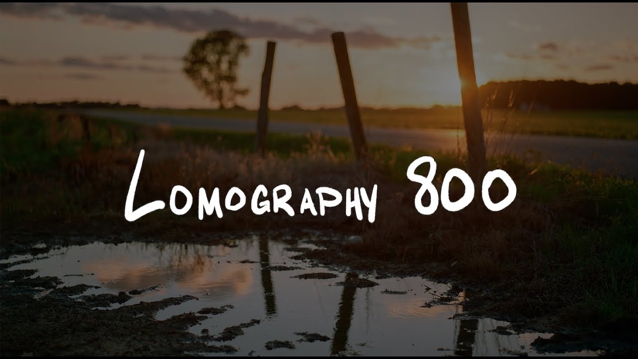 Обзор цветного негатива Lomography 800