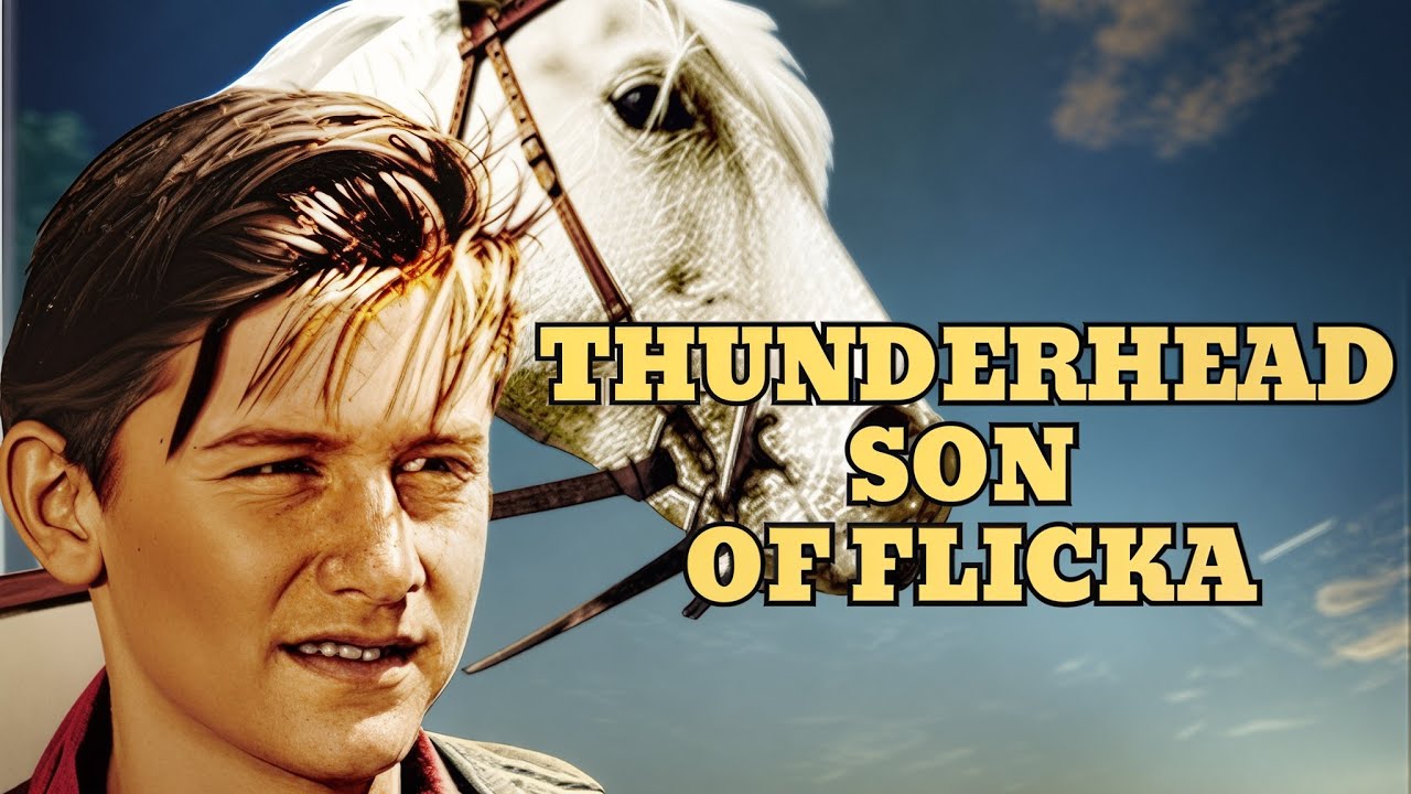 Thunderhead Son Of Flicka (1945) I A Story Of Youth, Freedom, And Courage